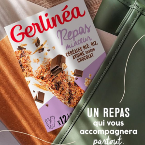 Repas Minceur - Gerlinéa Feed Instagram